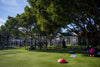 Trainingsferien in Marbella 11.06.2026 - 15.06.2026